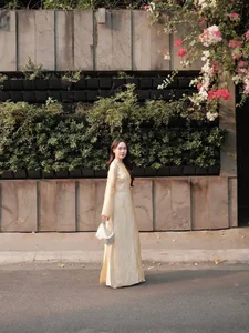 Elegant Vietnamese Silk Ao Dai: Discover the Timeless Grace and Traditional Beauty of Vietnam's Iconic National Dress for Women - image 9
