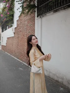 Elegant Vietnamese Silk Ao Dai: Discover the Timeless Grace and Traditional Beauty of Vietnam's Iconic National Dress for Women - image 1