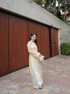 Elegant Vietnamese Silk Ao Dai: Discover the Timeless Grace and Traditional Beauty of Vietnam's Iconic National Dress for Women - image 7