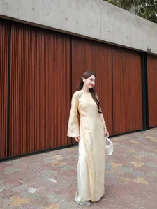 Elegant Vietnamese Silk Ao Dai: Discover the Timeless Grace and Traditional Beauty of Vietnam's Iconic National Dress for Women - image 0
