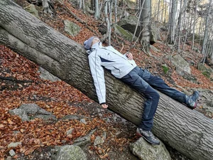 Hilarious Reality of Travel: When Vacation Vibes Meet Total Exhaustion - image 3