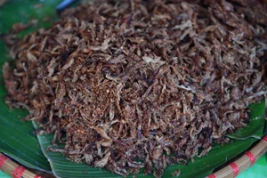 Ho Chi Minh City: A Melting Pot of Regional Vietnamese Delicacies - image 2