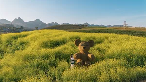 The Golden Mustard Fields of Moc Chau: A Must-Visit Tet Destination - image 4