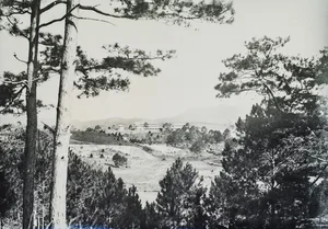 A Glimpse into History: Rare and Precious Architectural Photos of Da Lat, Vietnam, During the 1920s Era - image 0