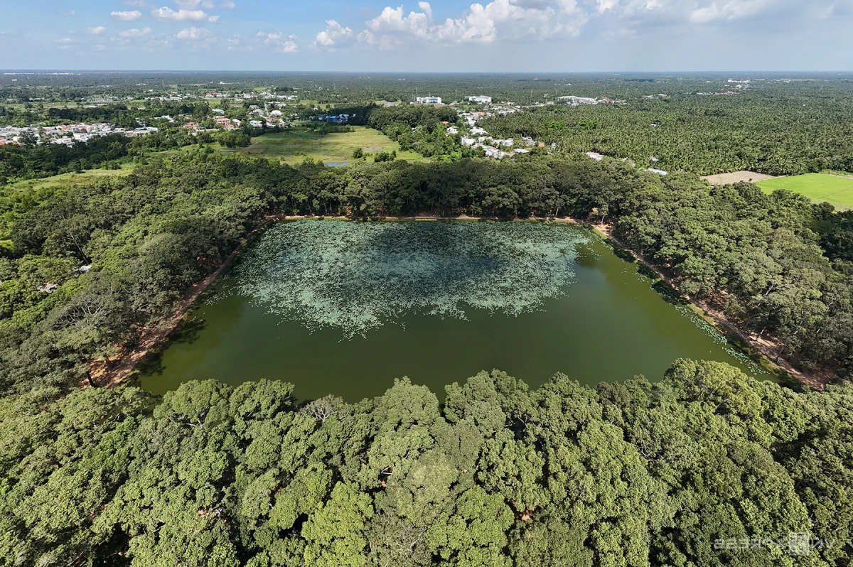 Tra Vinh Travel Guide 2025: Your Complete A-Z Handbook for Vietnam's Green City