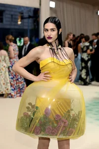 Unforgettable Met Gala Moments: Exploring the Most Unique and Avant-Garde Red Carpet Outfits - image 8