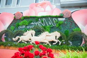 The 7th Sa Pa Horse Racing Festival: A Cultural Spectacle Above the Clouds - image 4