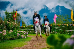 The 7th Sa Pa Horse Racing Festival: A Cultural Spectacle Above the Clouds - image 2