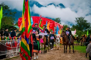 The 7th Sa Pa Horse Racing Festival: A Cultural Spectacle Above the Clouds - image 0