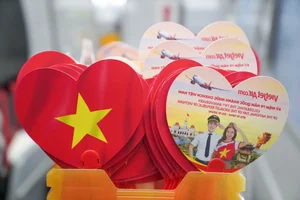 Flying the Colors: Vietjet Air Celebrates National Pride - image 5