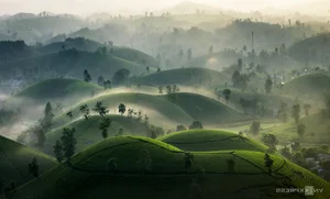 The Ultimate 2024 Phu Tho Travel Guide: Top 5 Must-Visit Destinations and Cultural Highlights - image 3