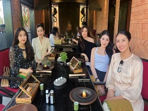 Miss Vietnam Do My Linh Radiates Elegance and Beauty in Post-Pregnancy Photoshoot - image 3