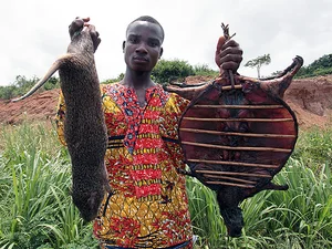 Exploring Ghana’s Most Unique and Daring Culinary Delicacies: A Cultural Journey - image 4