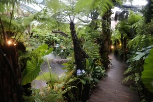 A Garden of Eden Cafe: A Hidden Oasis in Ho Chi Minh City - image 12
