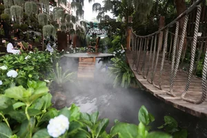 A Garden of Eden Cafe: A Hidden Oasis in Ho Chi Minh City - image 8