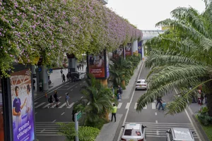 Experience 5-Star Luxury at Da Nang Airport T2 International Terminal - image 5