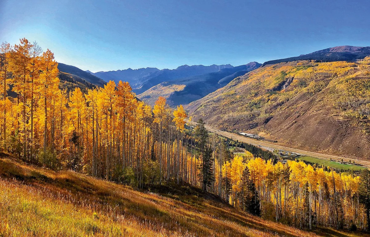 9 Essential Autumn Experiences to Enjoy Across the United States
