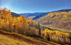 9 Essential Autumn Experiences to Enjoy Across the United States - image 0