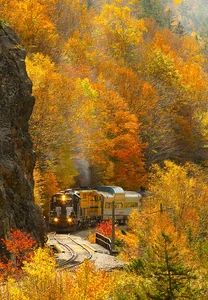9 Essential Autumn Experiences to Enjoy Across the United States - image 6