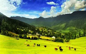 Explore Great Himalayan National Park - Where rugged terrain meets magical turquoise rivers - image 3