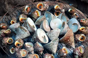 Exploring Cellana Nigrolineata: The Unique and Delicious Seafood Specialty of Vietnam’s Coastal Islands - image 4