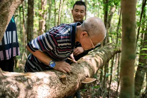 The Ultimate Guide to One-Day Trekking Adventures in Phu Quoc National Park - image 3