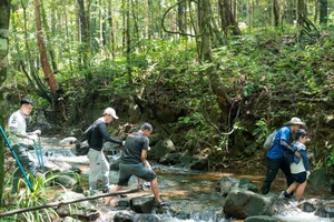 The Ultimate Guide to One-Day Trekking Adventures in Phu Quoc National Park - image 4