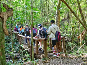 The Ultimate Guide to One-Day Trekking Adventures in Phu Quoc National Park - image 6