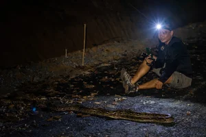 The Ultimate Guide to One-Day Trekking Adventures in Phu Quoc National Park - image 2