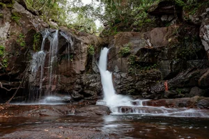 The Ultimate Guide to One-Day Trekking Adventures in Phu Quoc National Park - image 11
