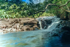 The Ultimate Guide to One-Day Trekking Adventures in Phu Quoc National Park - image 10