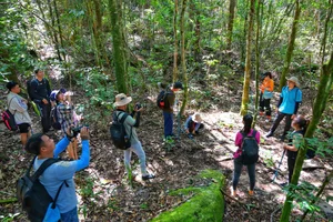 The Ultimate Guide to One-Day Trekking Adventures in Phu Quoc National Park - image 0