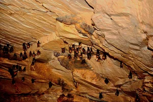 The Ultimate Guide to One-Day Trekking Adventures in Phu Quoc National Park - image 7