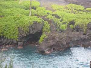 Exploring the Forgotten British Paradise in the Middle of the Pacific Ocean: A Hidden Gem for Travelers - image 5