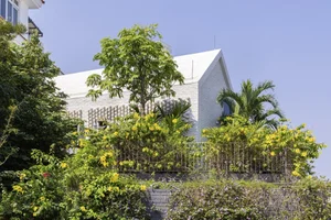 Stunning Twin Houses Architecture Nestled Within the Lush Forests of Da Nang - image 5
