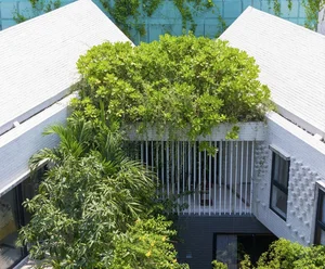 Stunning Twin Houses Architecture Nestled Within the Lush Forests of Da Nang - image 1