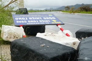 Cat Ba Island Tourism Faces Unprecedented Challenges After Storm - image 8