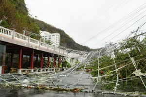 Cat Ba Island Tourism Faces Unprecedented Challenges After Storm - image 12