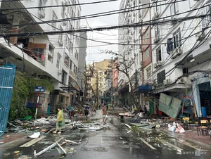 Cat Ba Island Tourism Faces Unprecedented Challenges After Storm - image 13
