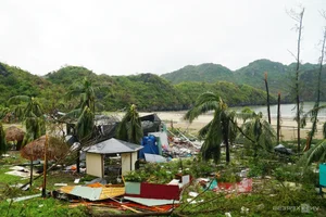 Cat Ba Island Tourism Faces Unprecedented Challenges After Storm - image 9