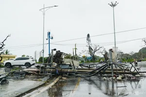 Cat Ba Island Tourism Faces Unprecedented Challenges After Storm - image 15