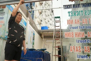 Cat Ba Island Tourism Faces Unprecedented Challenges After Storm - image 3