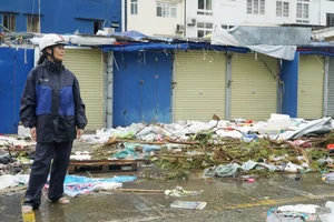 Cat Ba Island Tourism Faces Unprecedented Challenges After Storm - image 10