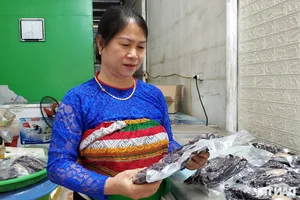 Discovering the Culinary Delights and Economic Success of Western Thanh Hoa Cuisine - image 2