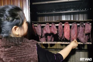 Discovering the Culinary Delights and Economic Success of Western Thanh Hoa Cuisine - image 1