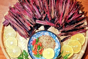 Discovering the Culinary Delights and Economic Success of Western Thanh Hoa Cuisine - image 0