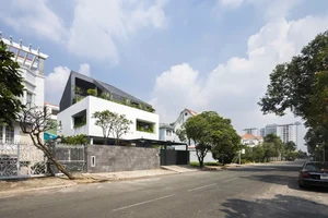 Modern Box House Design: Incorporating Lush Greenery as Living Decorative Patterns - image 7