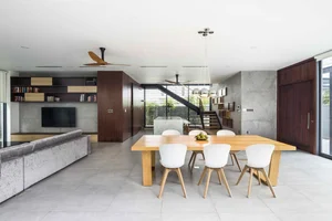 Modern Box House Design: Incorporating Lush Greenery as Living Decorative Patterns - image 1