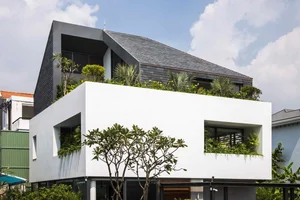 Modern Box House Design: Incorporating Lush Greenery as Living Decorative Patterns - image 2