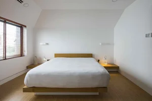 Modern Box House Design: Incorporating Lush Greenery as Living Decorative Patterns - image 4